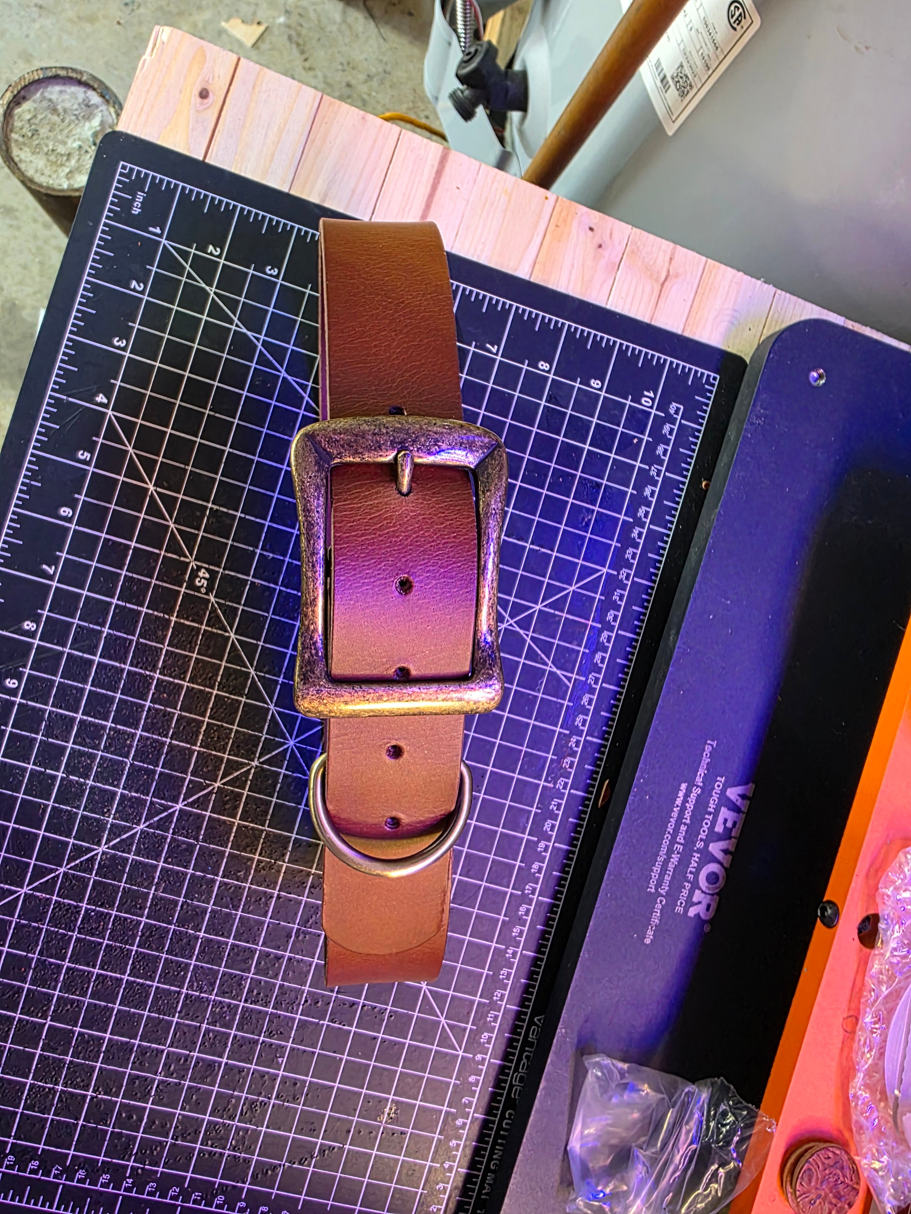 Buffalo Leather Dog Collar