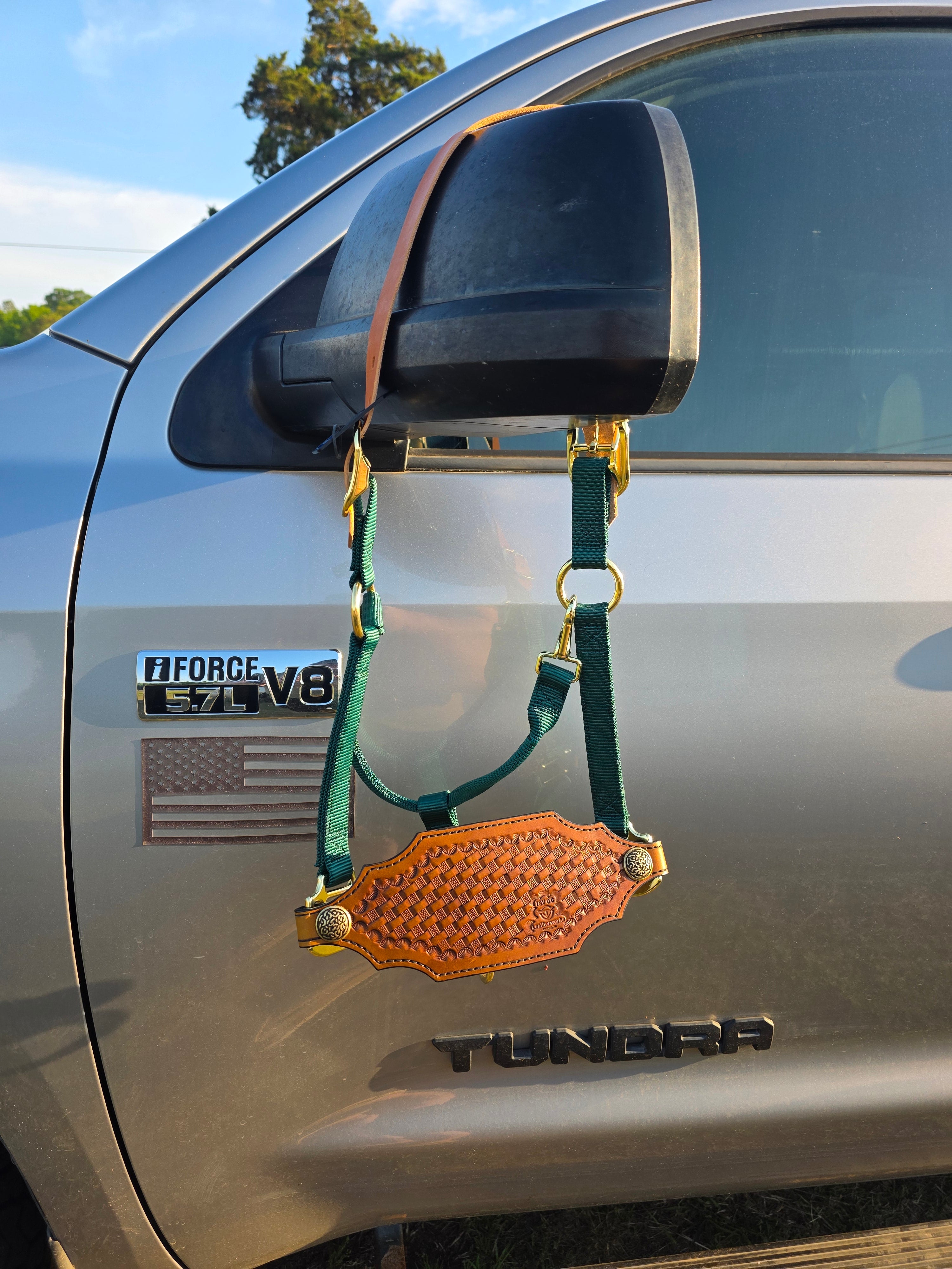Bronc Halter